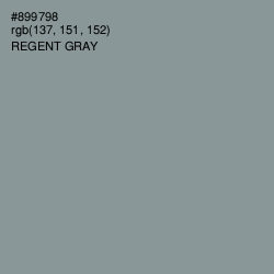 #899798 - Regent Gray Color Image